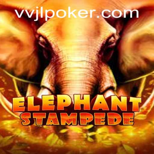 Discovering ElephantStampede The Exciting New Game